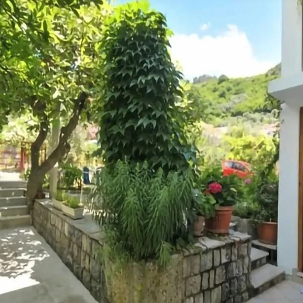 Apartments Jelena 27 - zdjęcie 4