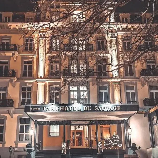 Parkhotel du Sauvage - zdjęcie 4