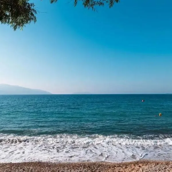 Mazarine - zdjęcie 2