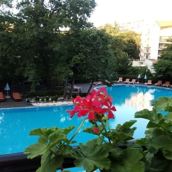 Allegra - zdjęcie 2