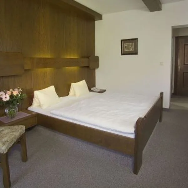 Geisler - zdjęcie 4