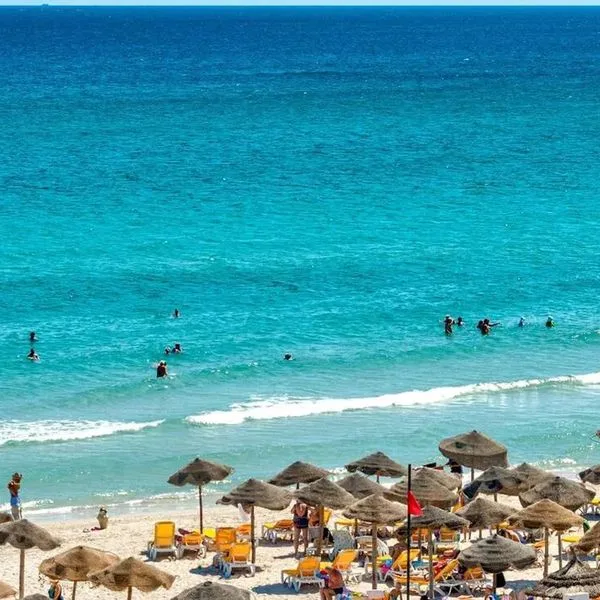 Thapsus - zdjęcie 4