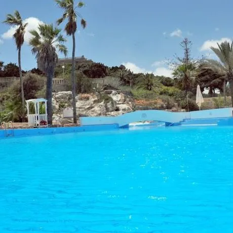 Beach Garden - zdjęcie 4