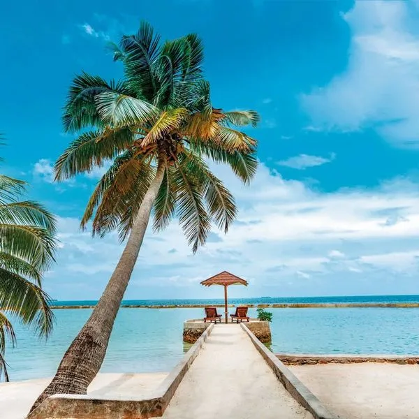 Ellaidhoo Maldives by Cinnamon (ex. Chaaya Reef) - zdjęcie 2