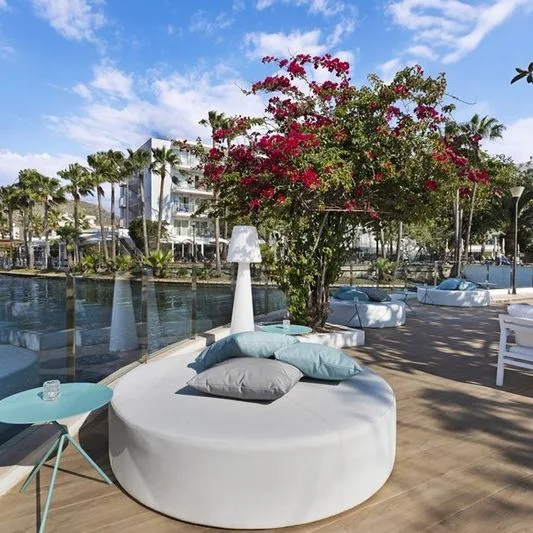 Alua Boccaccio - zdjęcie 3