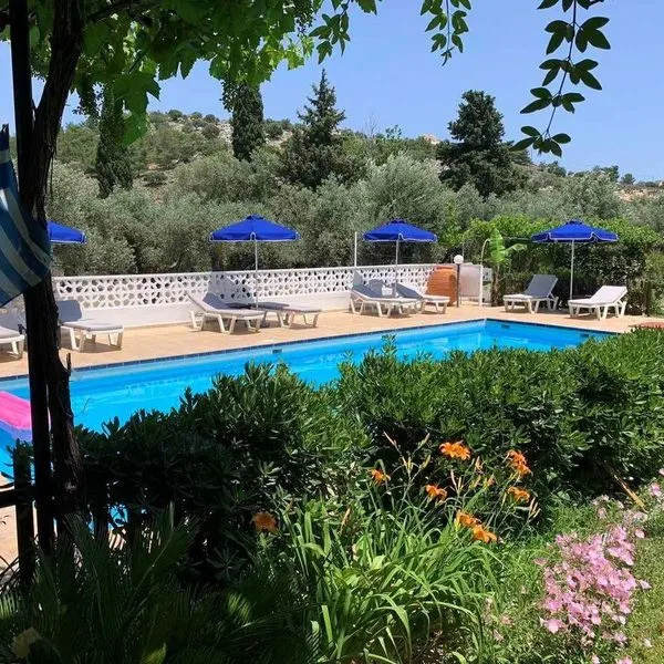 Varelis - zdjęcie 2