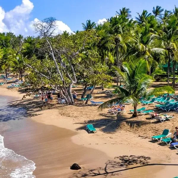 Senator Puerto Plata - zdjęcie 2