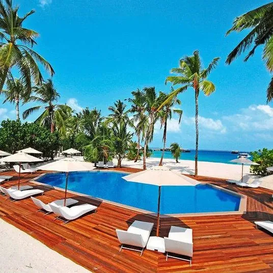 Safari Island - zdjęcie 2