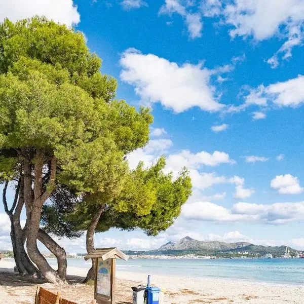 Zafiro Alzinar Mar (ex. Alegria Alzinar Mar Suites) - zdjęcie 2