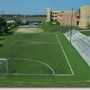 Barone di Mare - zdjęcie 4