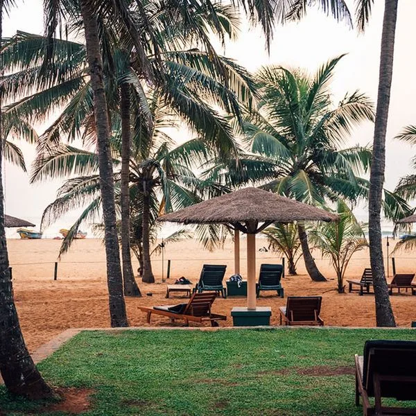 Goldi Sands - zdjęcie 3