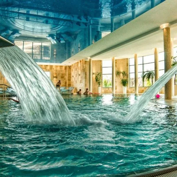 Białowieski - zdjęcie 2