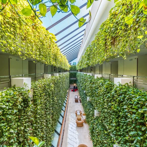 Alexandre Gala Tenerife - zdjęcie 3