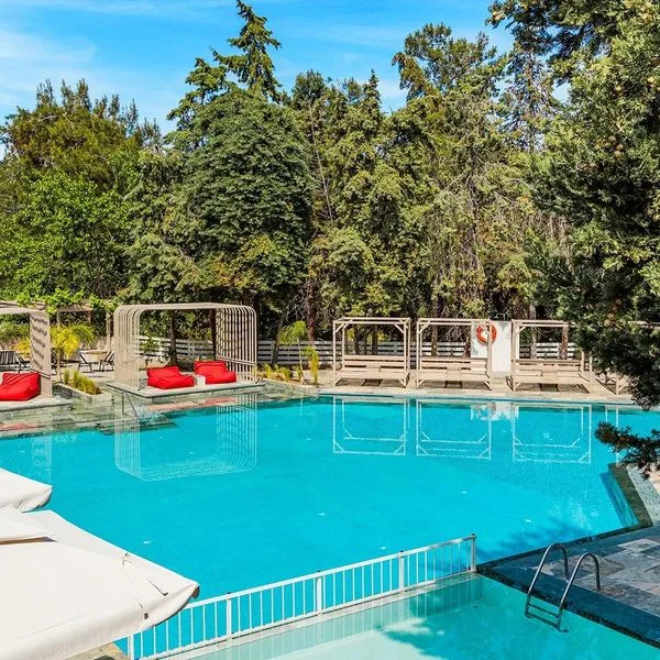 Bomo Zoe - zdjęcie 2