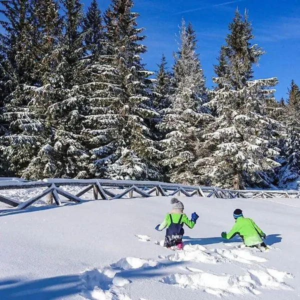 Luxury Szklarska Apartments - zdjęcie 4