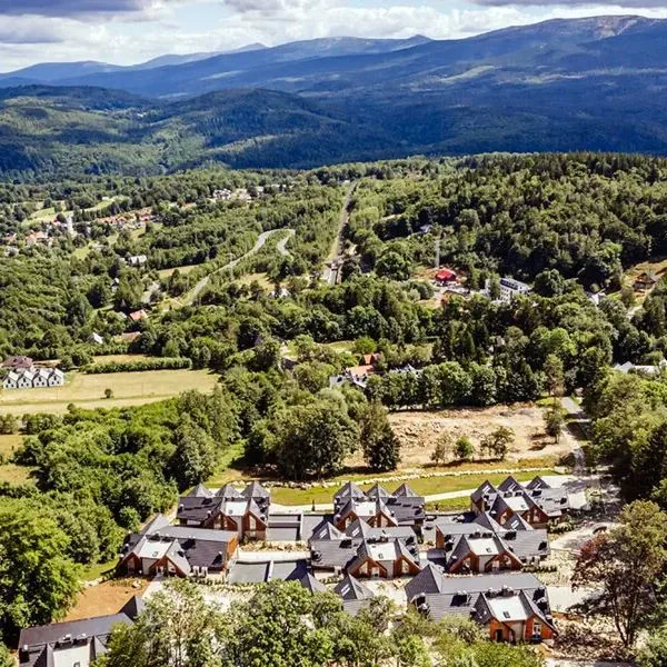 Luxury Szklarska Apartments - zdjęcie 5