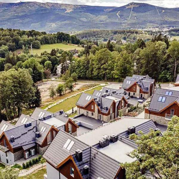 Luxury Szklarska Apartments - zdjęcie 3