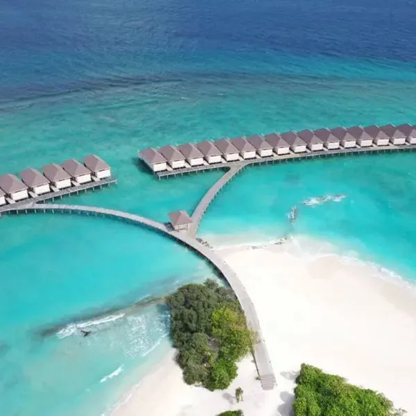 Brennia Kottefaru - zdjęcie 2