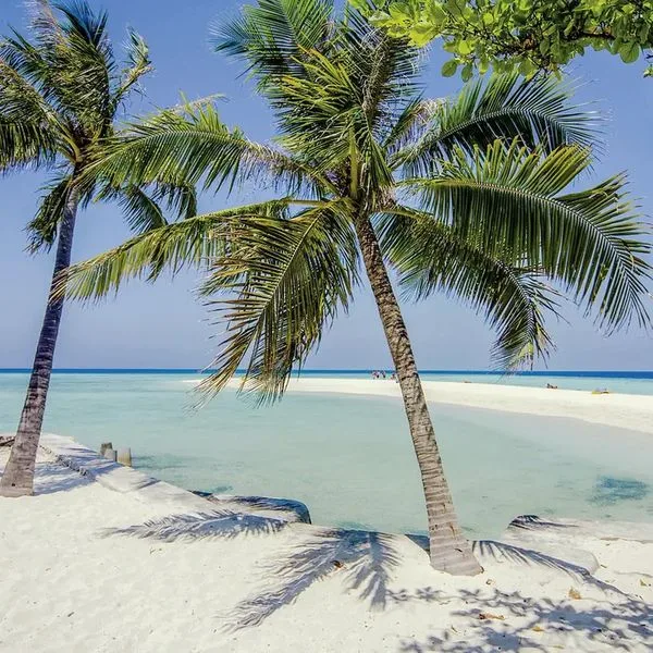 Embudu Village - zdjęcie 4