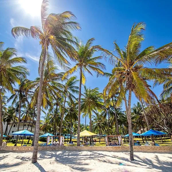 Pride Inn Flamingo - zdjęcie 5