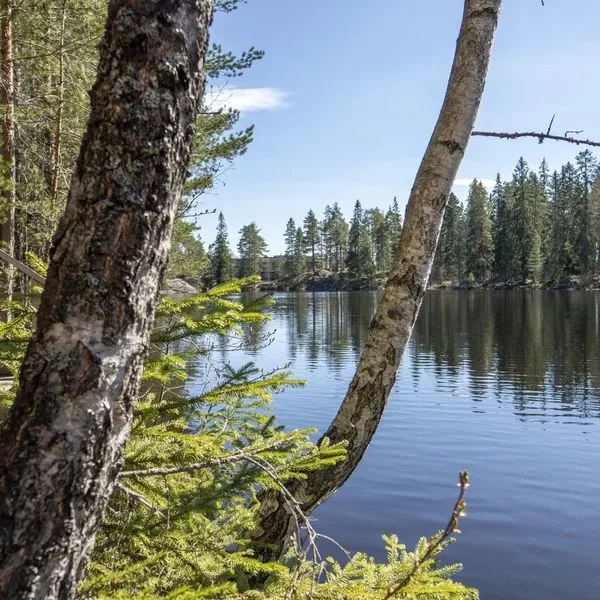 Korpilampi - zdjęcie 4