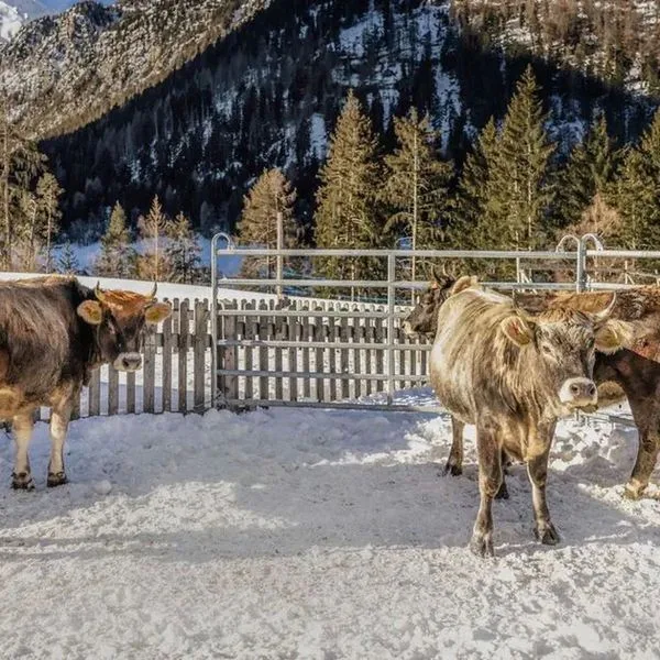 Gasthof Trushof - zdjęcie 3