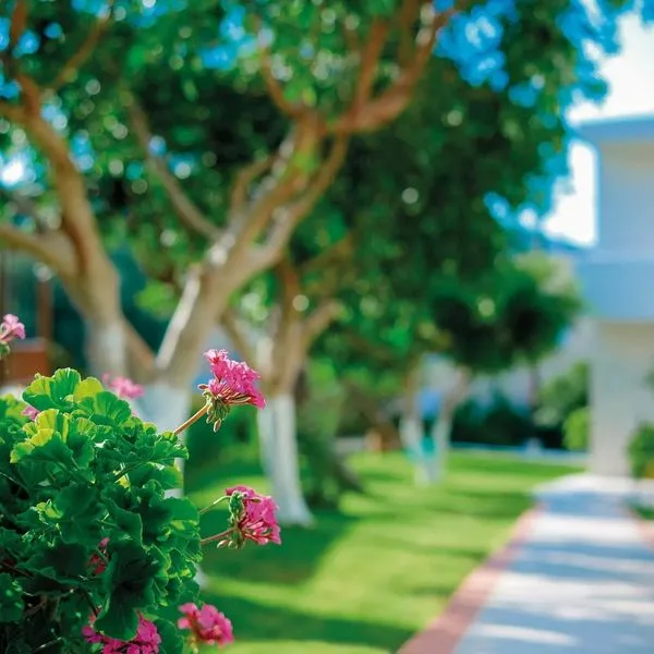 Katrin Bungalows (Stalida) - zdjęcie 2