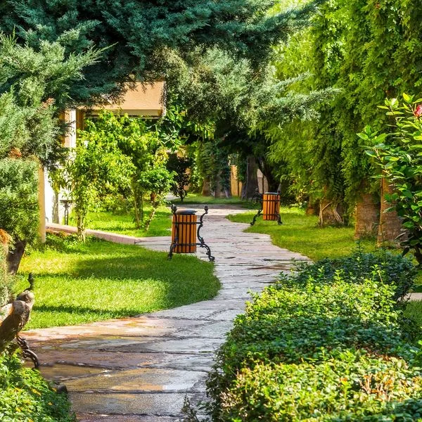 Saritas - zdjęcie 4