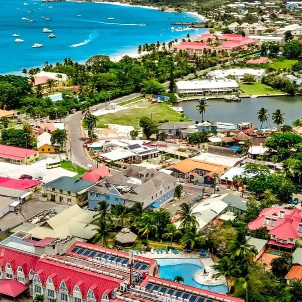 Coco Palm - zdjęcie 2