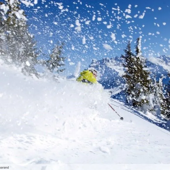 Les Residences Chatel - zdjęcie 3