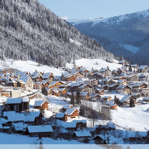 Les Residences Chatel