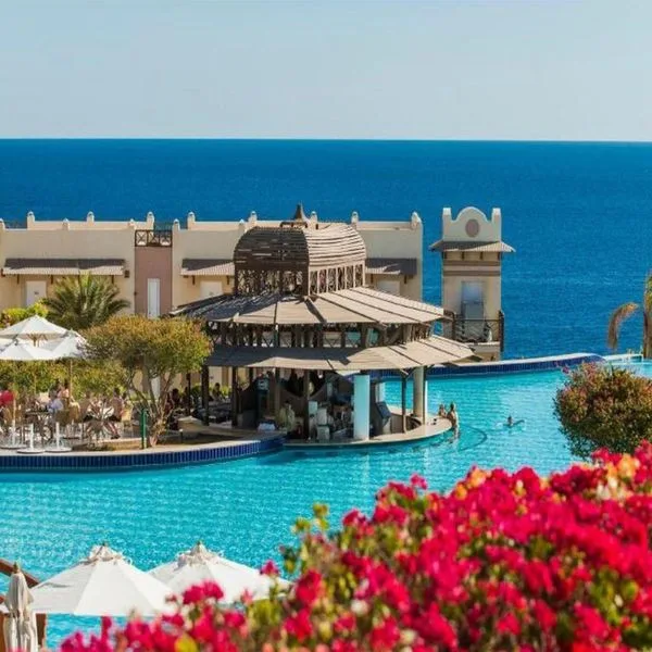 Concorde El Salam Sport - zdjęcie 2