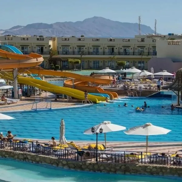 Concorde El Salam Sport - zdjęcie 4