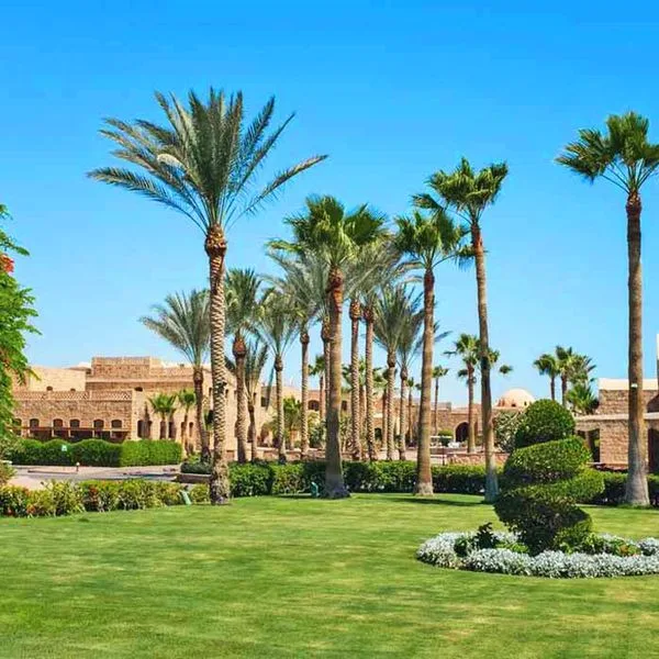 Movenpick Resort El Quseir - zdjęcie 5