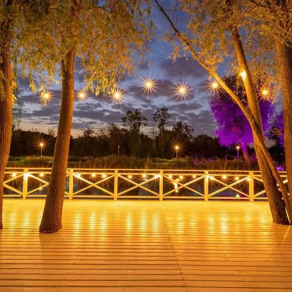 Green Garden - zdjęcie 2