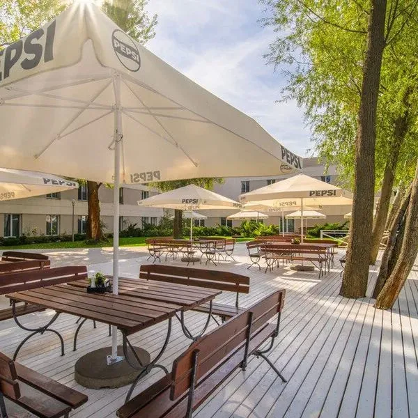 Green Garden - zdjęcie 4