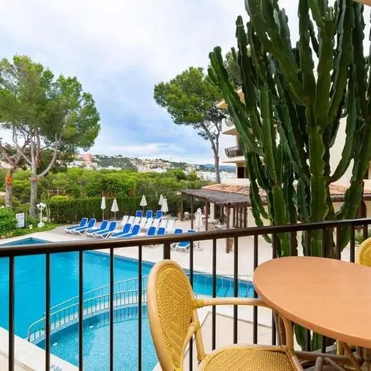 Casa Vida - zdjęcie 2