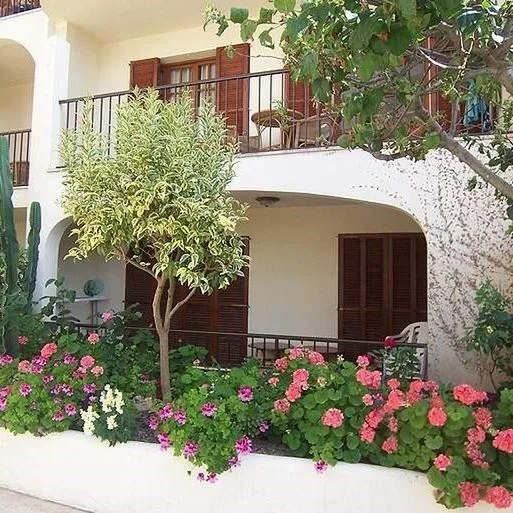 Casa Vida - zdjęcie 5