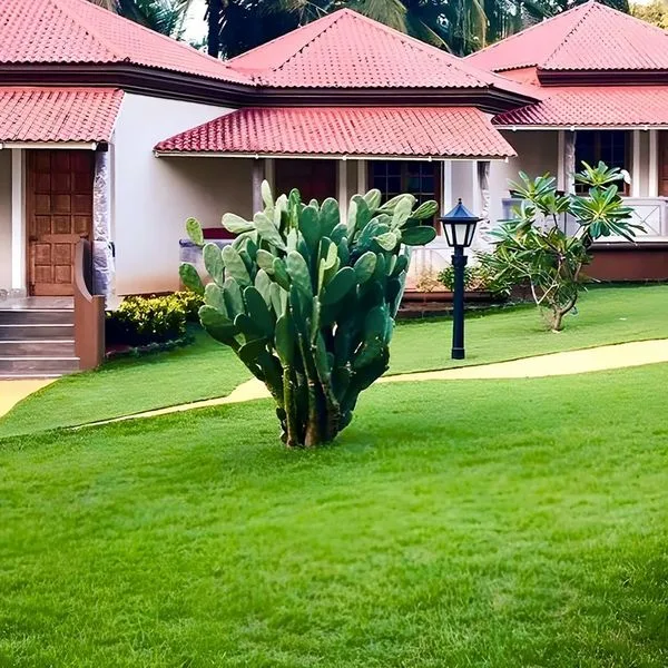 Leoney Resort - zdjęcie 3