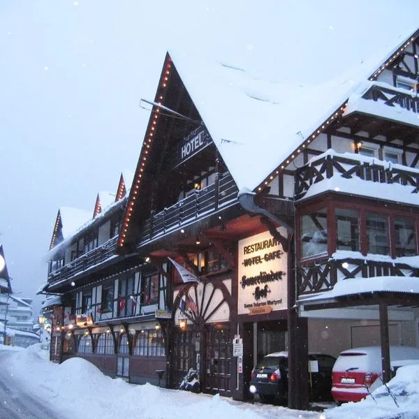 Sauerlander Hof (Willingen) - zdjęcie 3