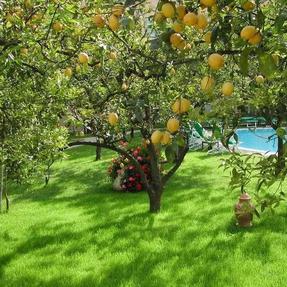 Antiche Mura - zdjęcie 3