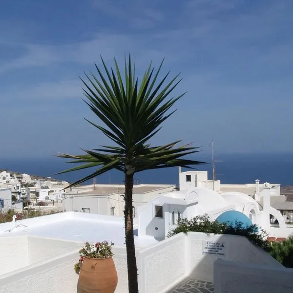 Santorini Palace - zdjęcie 4