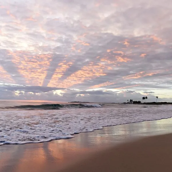 Royalton Chic Punta Cana - zdjęcie 2