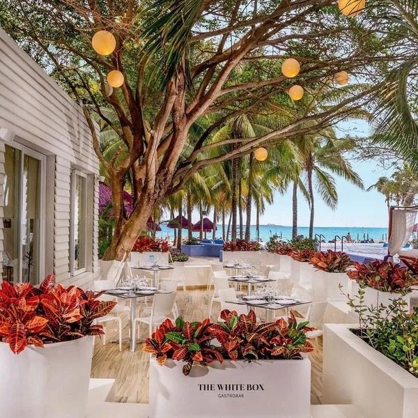 Oasis Sens - zdjęcie 3