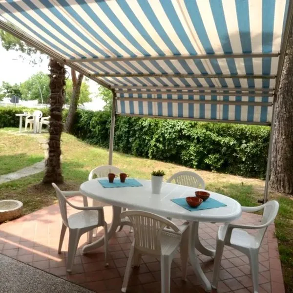 Nautilus (Bibione) - zdjęcie 3