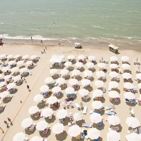 Grand Blue Fafa - zdjęcie 2