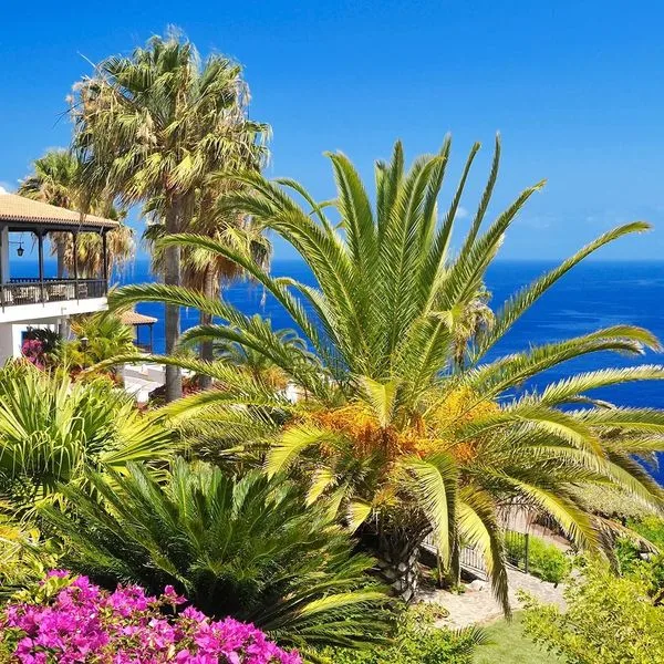 Jardin Tecina - zdjęcie 3