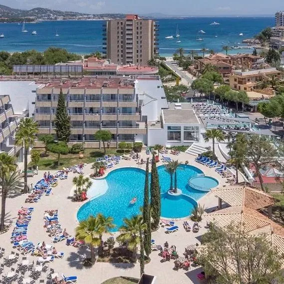 MarSenses Rosa del Mar