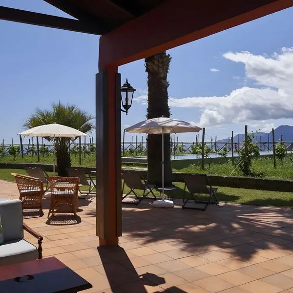 Quinta do Furao - zdjęcie 5