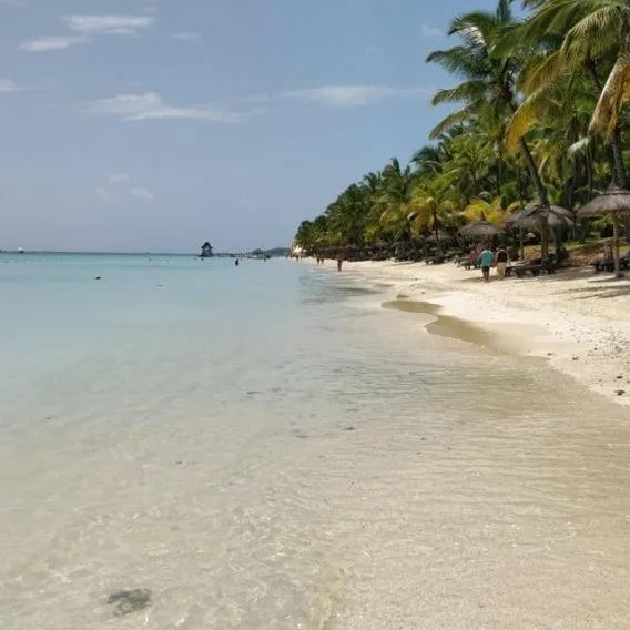 Le Palmiste Resort & Spa - zdjęcie 2